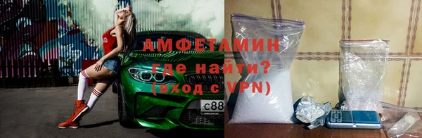 прущие грибы Баксан