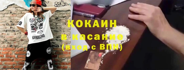 прущие грибы Баксан