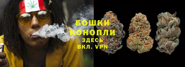 сатива Балабаново