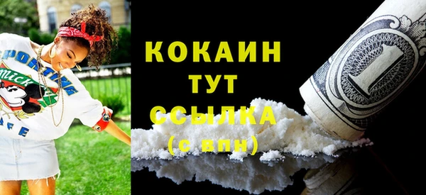 прущие грибы Баксан
