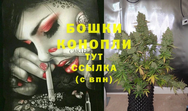 сатива Балабаново