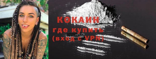 прущие грибы Баксан